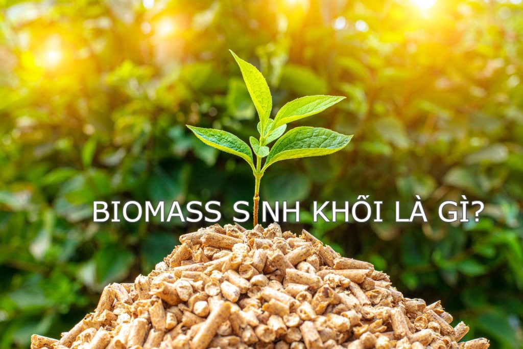 Hệ thống khí hóa Biomass