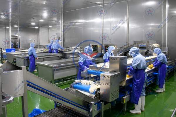 dây chuyền sấy thực phẩm