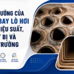 ảnh hưởng của tro bay lò hơi