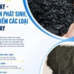 tro bay lò hơi